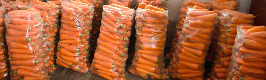 Bags with young fresh carrot prepared for sale. freshly harvested. growing organic 