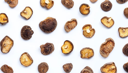 High angle view of food against white background