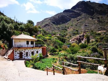 House by trees and mountains against sky