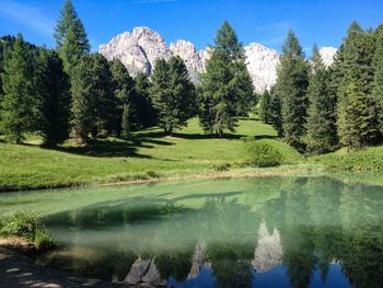 Scenic view of lake in forest