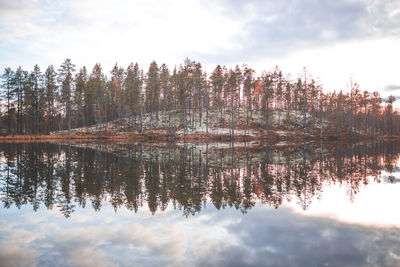 Reflection of trees in lake against sky