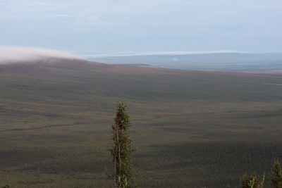 Scenic view of landscape against sky