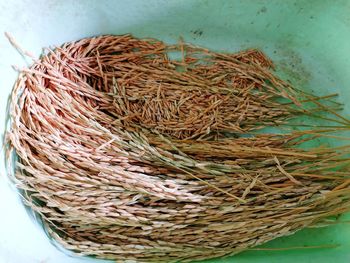 High angle view of eggs in nest on table