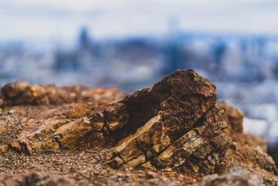 Close-up of rocks on shore