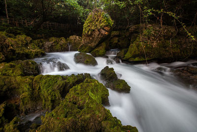 Scenic view of waterfall in forest