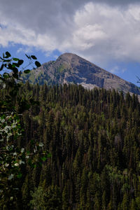 Scenic view of trees and mountains against sky