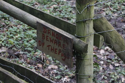 Close-up of text on tree