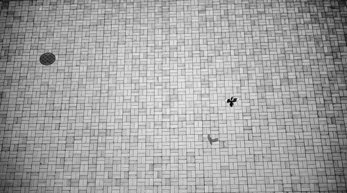 Full frame shot of brick wall