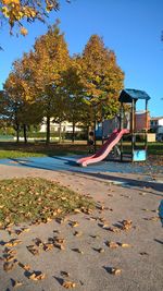 Trees in park