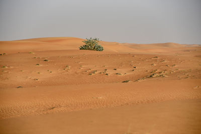 Sharjah desert area, one of the most visited places for off-roading by off roaders