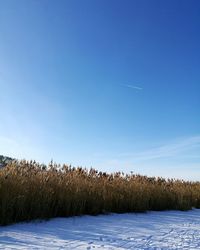 Scenic view of snow field against blue sky