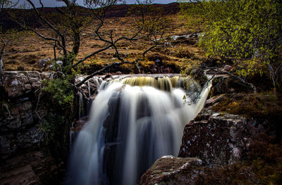 Scenic view of waterfall in forest