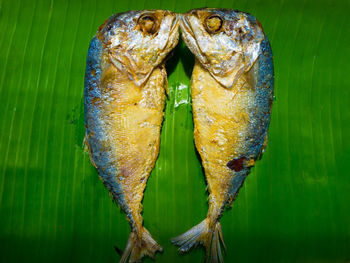 Close-up high angle view of cooked seafood on leaf