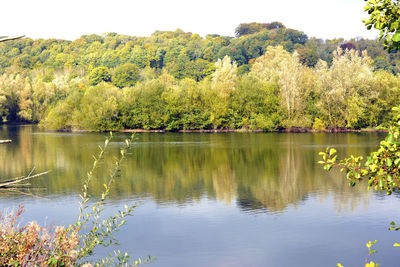 Scenic view of lake by trees against sky