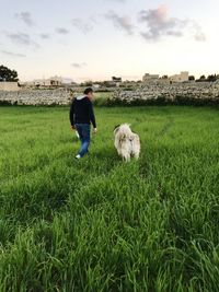 Rear view of woman with dog walking on field