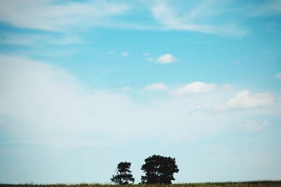Low angle view of trees against sky