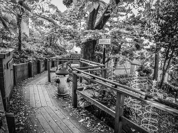 Railing with trees in background