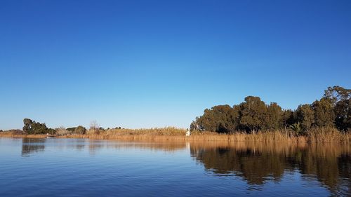 Scenic view of lake against clear blue sky