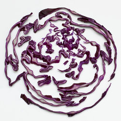 Close-up of food on white background