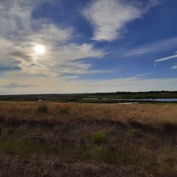 Scenic view of field against sky