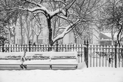 Snow covered bench against bare trees in park
