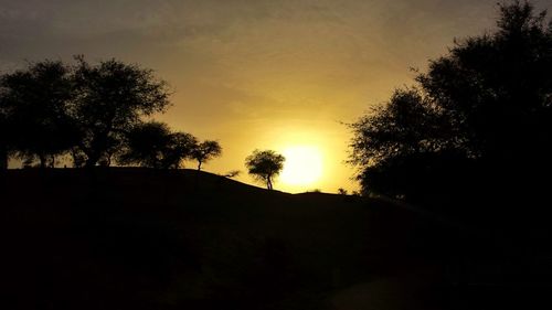 Silhouette of trees at sunset