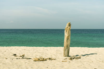 Wooden posts on beach against sky