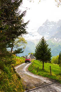 Road amidst trees against sky