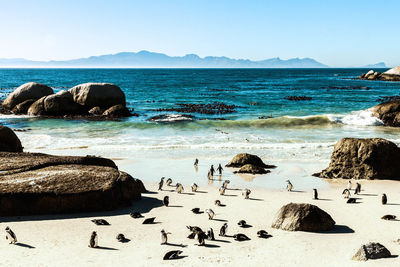 Scenic view of sea against clear sky