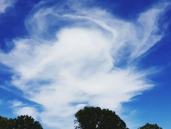 Low angle view of trees against blue sky