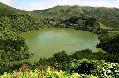 Azores's volcano lake