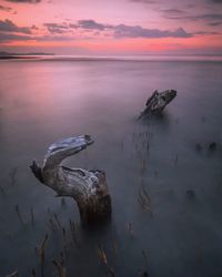 Scenic view of sea during sunset