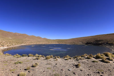 Scenic view of landscape against clear blue sky