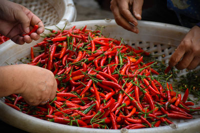 High angle view of hand holding red chili peppers at market