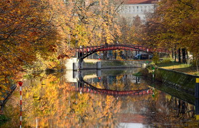 Arch bridge over lake during autumn