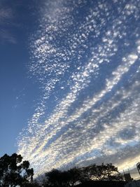 Low angle view of tree against cloudy sky