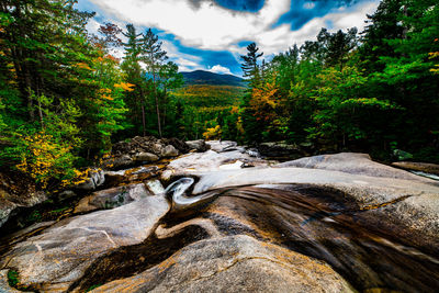 Scenic view of rocks in forest against sky