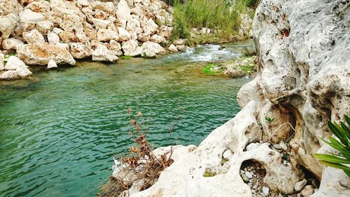 High angle view of rock formation amidst trees