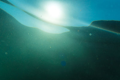 View of fish underwater