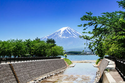 Scenic view of swimming pool by trees against clear blue sky