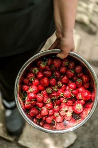 Midsection of man holding strawberries