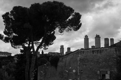 Trees against sky in city