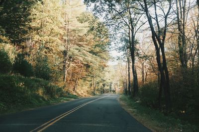 Empty road amidst trees in forest