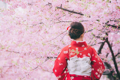 Rear view of woman standing by pink cherry blossom tree