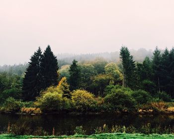 Scenic view of grassy field