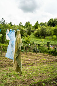 Clothes drying on field by trees against sky