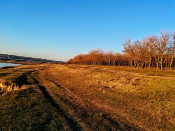 Scenic view of field against clear sky