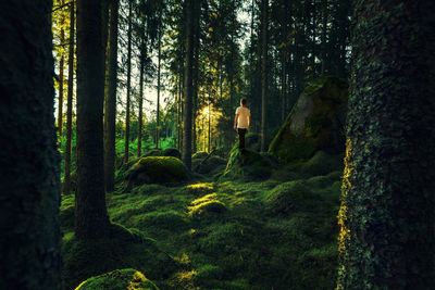 Rear view of man standing in forest