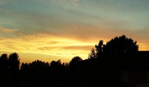 Silhouette trees against sky during sunset