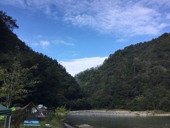 Trees by river against sky